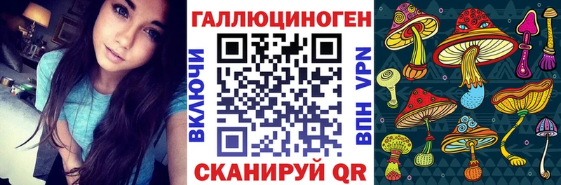 где найти наркотики  hydra рабочий сайт  Галлюциногенные грибы прущие грибы  Кстово 